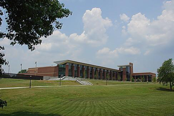 brigade是什么意思brigade的翻译(bride什么意思中文意思是什么)